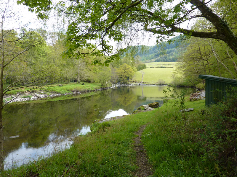 Fairy Glen